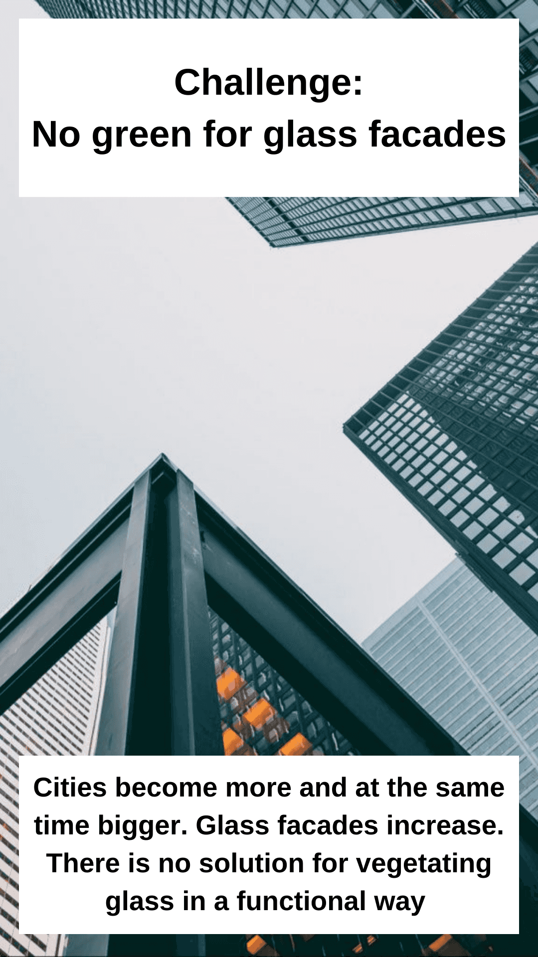 Challenge Cities become more and at the same time bigger. Glass facades increase. There is no solution for vegetating glass in a functional way