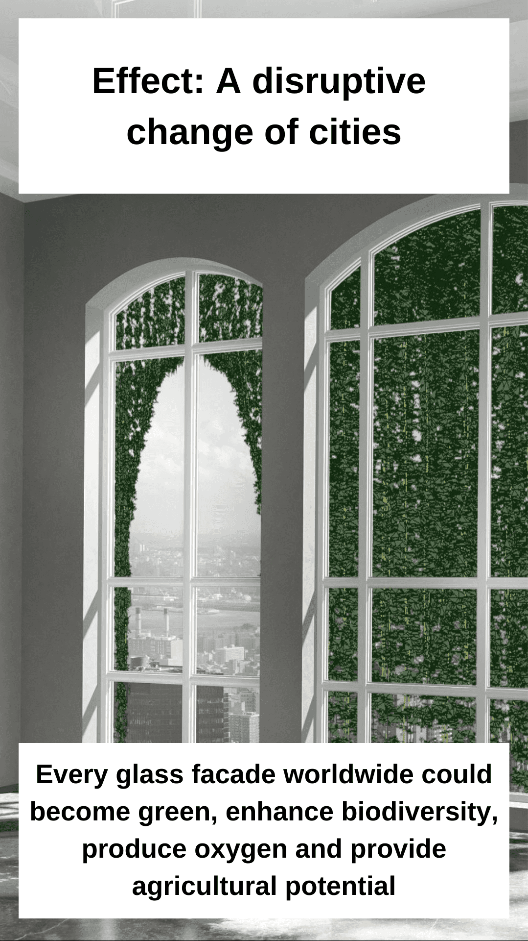 Effect Every glass facade worldwide could become green, enhance biodiversity, produce oxygen and provide agricultural potential